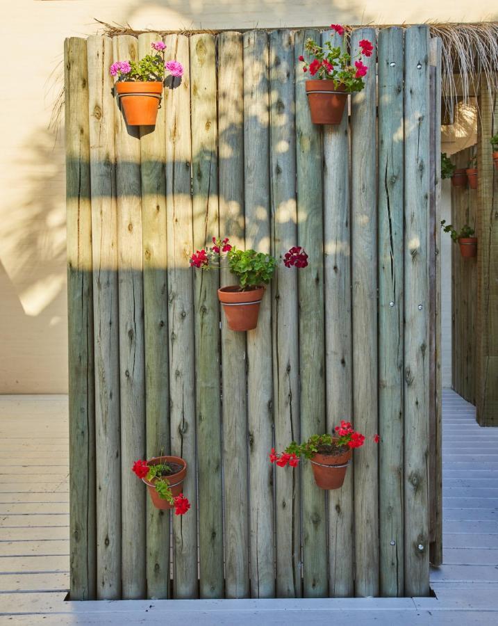 Posada Tamarindo Jose Ignacio  Exterior photo